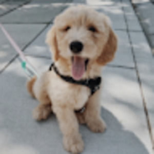 Meet your Posher, Alexandra